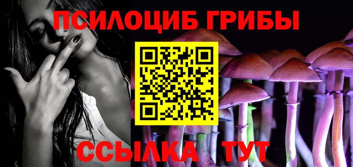 Галлюциногенные грибы прущие грибы Назарово